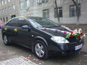 Nissan Primera аренда авто с водителем! 